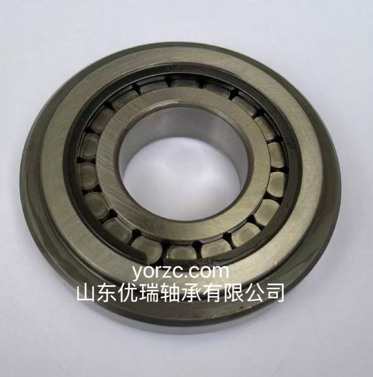 R07A72VCS44PX1轴承液压泵轴承