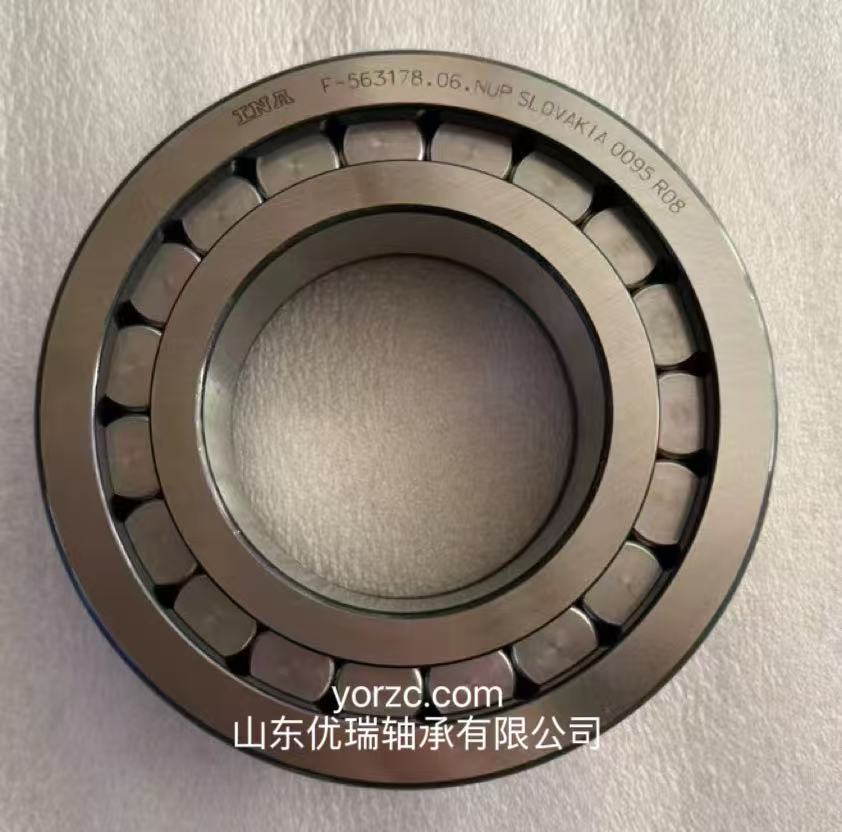 F-563178.06.NUP轴承液压泵轴承
